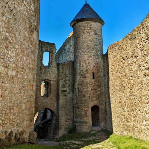 Burg Lichtenberg (Pfalz)