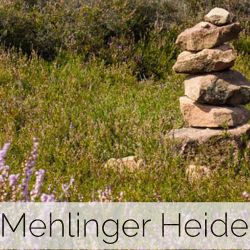 Mehlinger Heide (Pfalz)