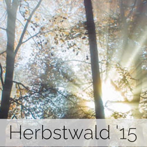 Herbstwald 2015 (Pfalz)