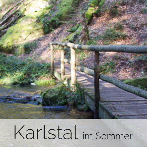 Karlstal im Sommer (Pfalz)