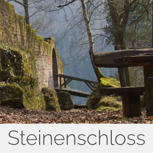 Steinenschloss (Pfalz)