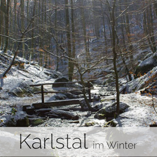 Karlstal im Winter (Pfalz)