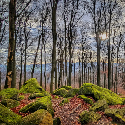 Felsenmeer (Odenwald)