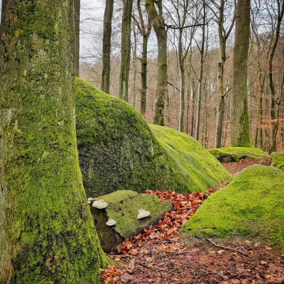 Felsenmeer (Odenwald)