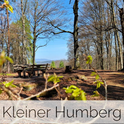 Kleiner Humberg Kaiserslautern: Wandern & Infos